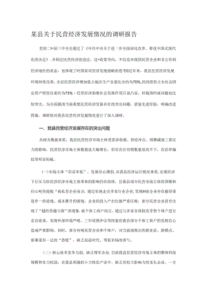 某县关于民营经济发展情况的调研报告.docx