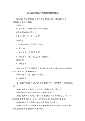 幼儿园小班公开课教案方案实用篇.docx