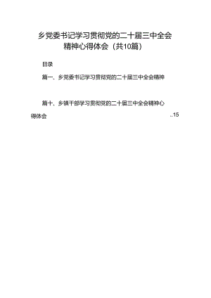 乡党委书记学习贯彻党的二十届三中全会精神心得体会10篇专题资料.docx