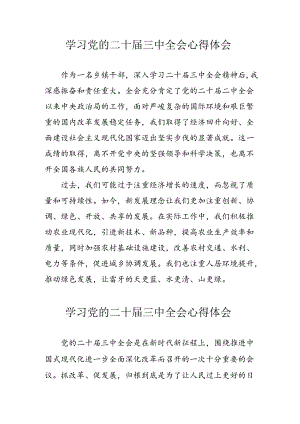 学习2024年学习党的二十届三中全会个人心得感悟 （3份）_75.docx