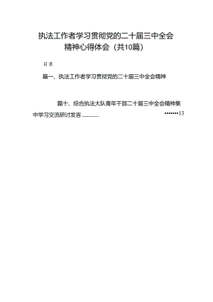 （10篇）执法工作者学习贯彻党的二十届三中全会精神心得体会范文.docx