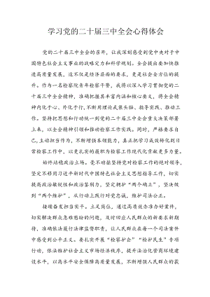 学习2024年学习党的二十届三中全会个人心得感悟 （3份）_56.docx