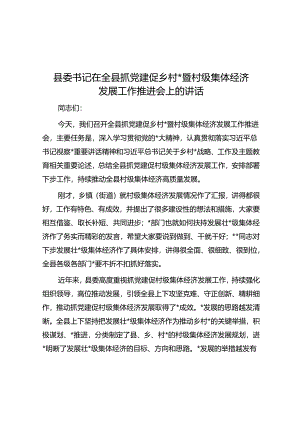县委书记在全县抓党建促乡村振兴暨村级集体经济发展工作推进会上的讲话.docx