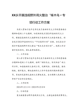 XX乡开展违规野外用火整治“啄木鸟”专项行动工作方案.docx