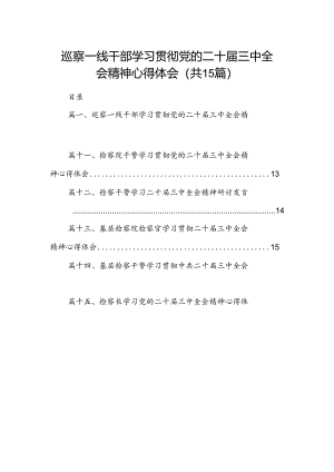 （15篇）巡察一线干部学习贯彻党的二十届三中全会精神心得体会集合.docx