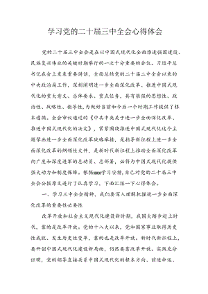 学习2024年学习党的二十届三中全会个人心得感悟 （6份）_72.docx