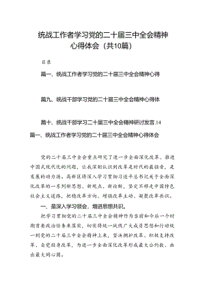（10篇）统战工作者学习党的二十届三中全会精神心得体会（最新版）.docx