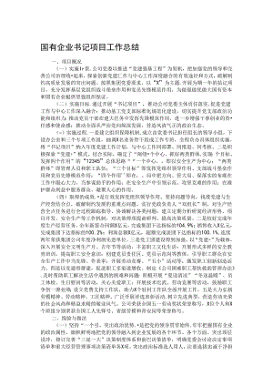 国有企业书记项目工作总结.docx