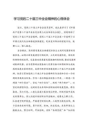 2024年党的二十届三中全会精神学习体会研讨交流发言材料28篇.docx