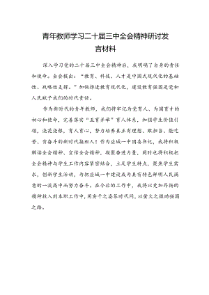 青年教师学习二十届三中全会精神研讨发言材料.docx