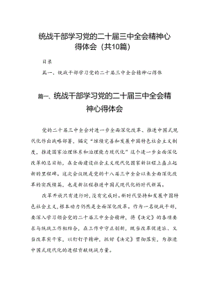 （10篇）统战干部学习党的二十届三中全会精神心得体会范文.docx