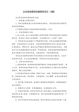 企业资金管控自查报告范文（3篇）.docx
