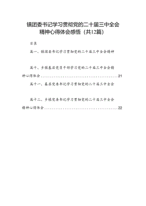 镇团委书记学习贯彻党的二十届三中全会精神心得体会感悟（共12篇）.docx