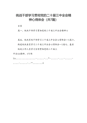 统战干部学习贯彻党的二十届三中全会精神心得体会7篇（最新版）.docx