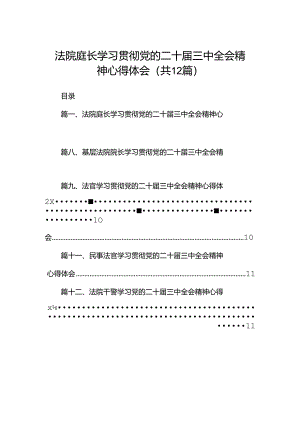 法院庭长学习贯彻党的二十届三中全会精神心得体会12篇（最新版）.docx