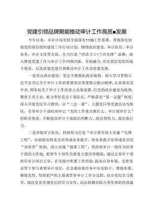市审计局党组书记交流发言：：党建引领 品牌聚能 推动审计工作高质量发展.docx