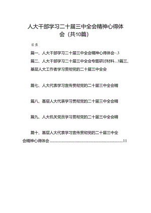 （10篇）人大干部学习二十届三中全会精神心得体会范文.docx
