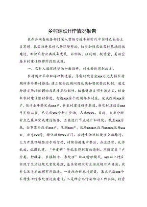 乡村建设工作情况报告.docx