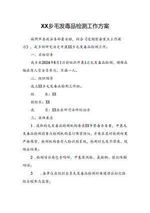 XX乡毛发毒品检测工作方案.docx