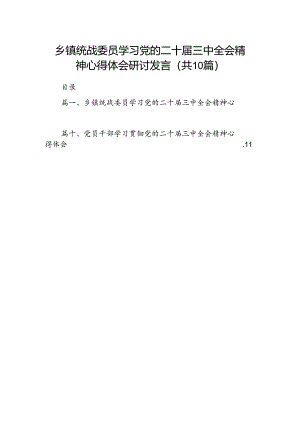 （10篇）乡镇统战委员学习党的二十届三中全会精神心得体会研讨发言专题资料.docx