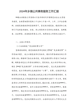 乡镇公共事务服务工作情况汇报.docx