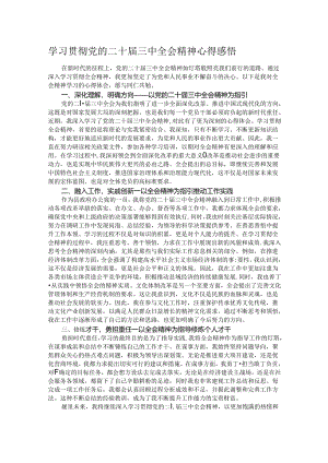 学习贯彻党的二十届三中全会精神心得感悟.docx