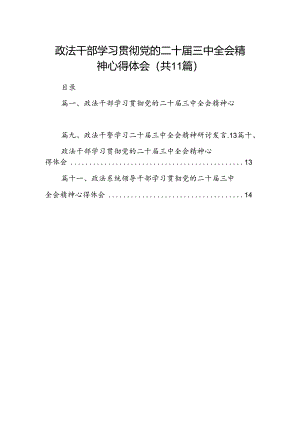 （11篇）政法干部学习贯彻党的二十届三中全会精神心得体会合辑.docx