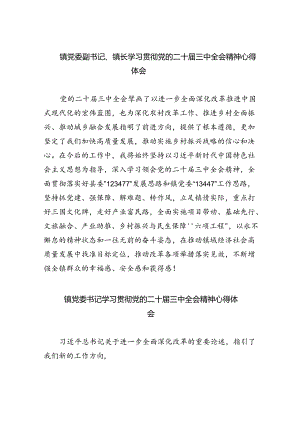镇党委副书记、镇长学习贯彻党的二十届三中全会精神心得体会（共8篇）.docx
