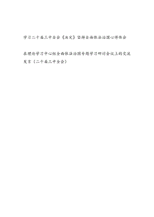 学习二十届三中全会《决定》坚持全面依法治国心得体会和在理论学习中心组全面依法治国专题学习研讨会议上的交流发言.docx
