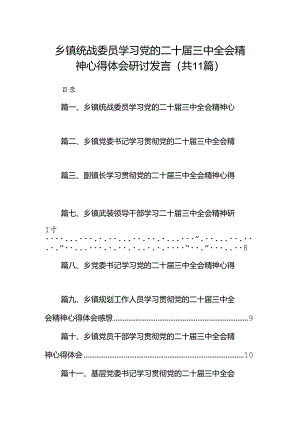 （11篇）乡镇统战委员学习党的二十届三中全会精神心得体会研讨发言汇编.docx