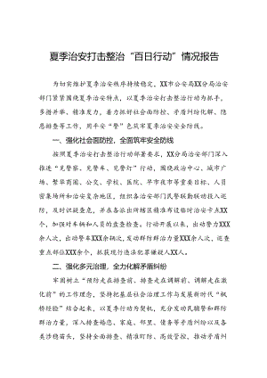 公安分局关于2024年夏季治安打击整治工作总结17篇.docx