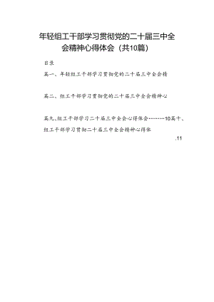 （10篇）2024年轻组工干部学习贯彻党的二十届三中全会精神心得体会（最新版）.docx