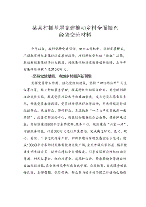 某某村抓基层党建推动乡村全面振兴经验交流材料.docx