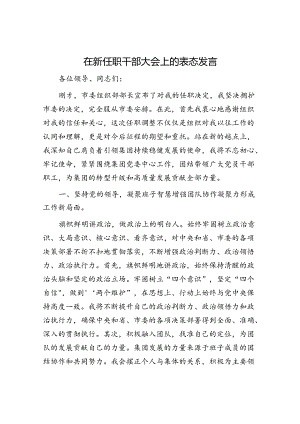 在新任职干部大会上的表态发言.docx
