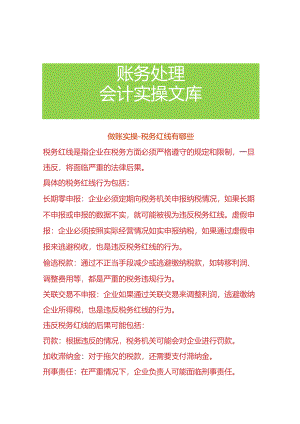 做账实操-税务红线有哪些.docx