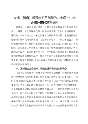 乡镇（街道）领导学习贯彻党的二十届三中全会精神研讨发言材料.docx