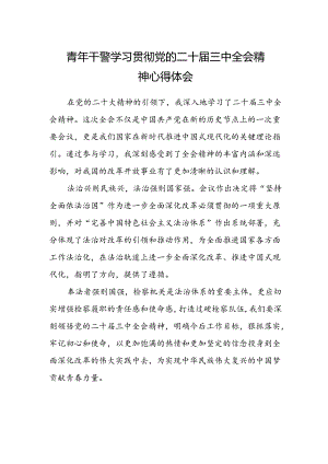 青年干警学习贯彻党的二十届三中全会精神心得体会.docx