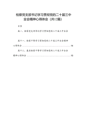检察党支部书记学习贯彻党的二十届三中全会精神心得体会12篇（精选）.docx
