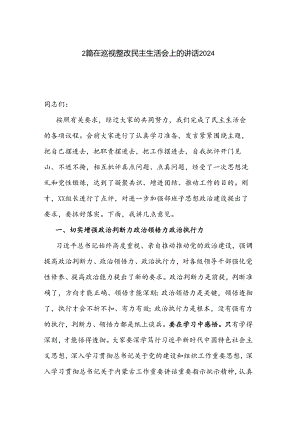 2篇在巡视整改民主生活会上的讲话2024.docx