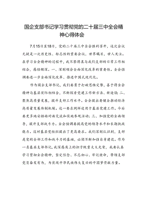 国企支部书记学习贯彻党的二十届三中全会精神心得体会范文.docx
