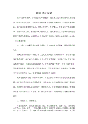团队建设的方案.docx