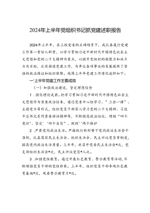 2024年上半年党组织书记抓党建述职报告.docx