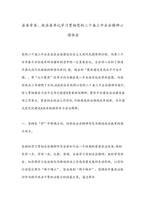 县委常委、政法委书记学习贯彻党的二十届三中全会精神心得体会.docx