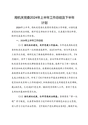 局机关党委2024年上半年工作总结及下半年计划.docx