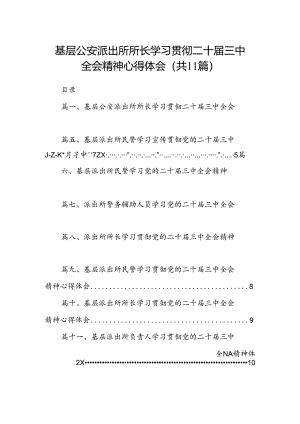 （11篇）基层公安派出所所长学习贯彻二十届三中全会精神心得体会（精选）.docx