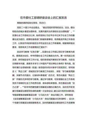 在市委社工部调研座谈会上的汇报发言.docx