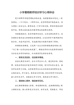 小学暑期教师培训学习心得体会.docx