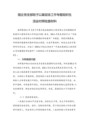 国企党支部班子以案促改工作专题组织生活会对照检查材料.docx