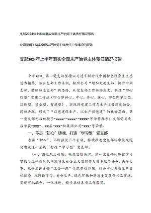 公司党组、公司党组关于落实全面从严治党主体责任工作情况的报告.docx