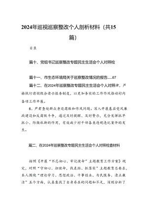 2024年巡视巡察整改个人剖析材料15篇（精选）.docx